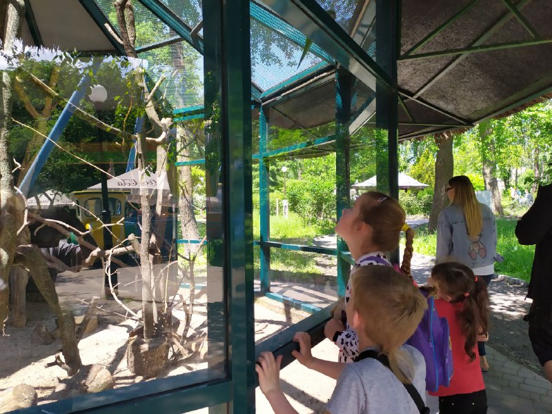 Учасники літньої відпочинкової програми досліджують птахів